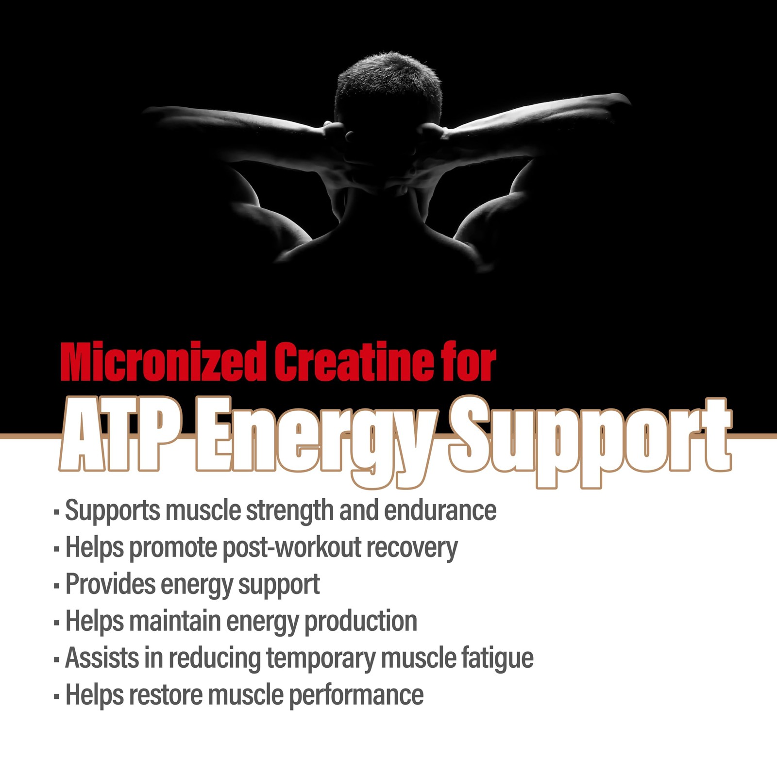 METALIFE 100% Pure Creatine Monohydrate Powder 200 2.2 Pound (Pack of 1)
