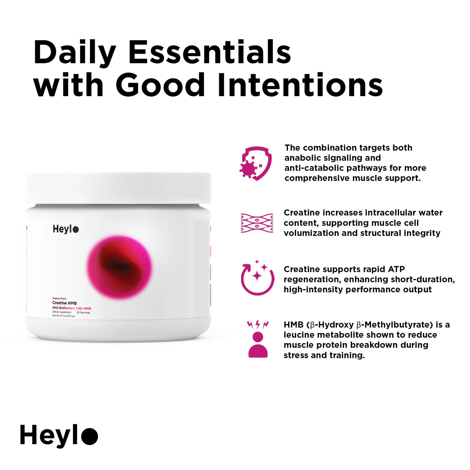Heylo Creatine Monohydrate Powder 5g HMB Vitamin D Calcium 30 Ct Tropical Punch