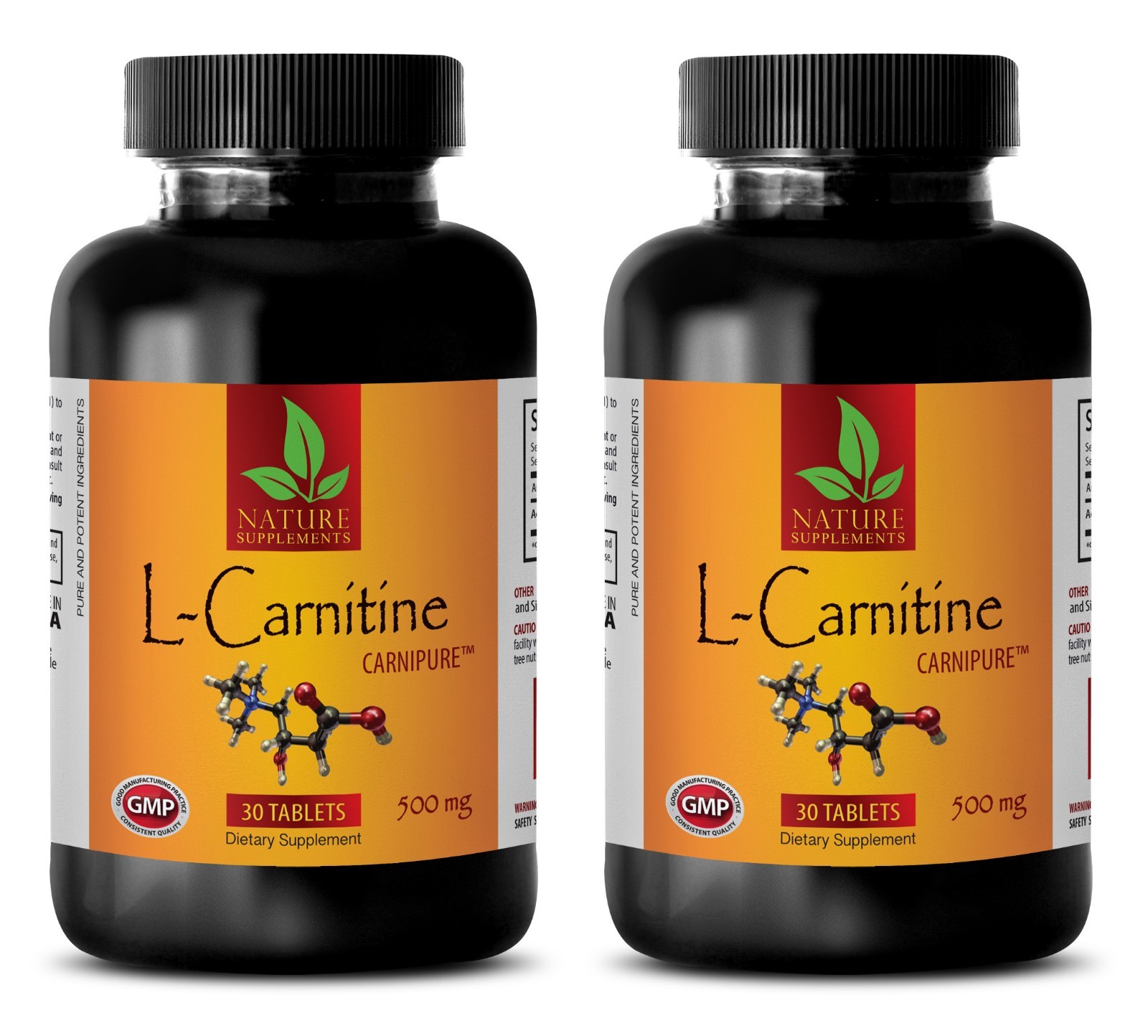Amino Acids Kidney Health – L-CARNITINE 510mg – L-Carnitine capsules – 2 Bottles