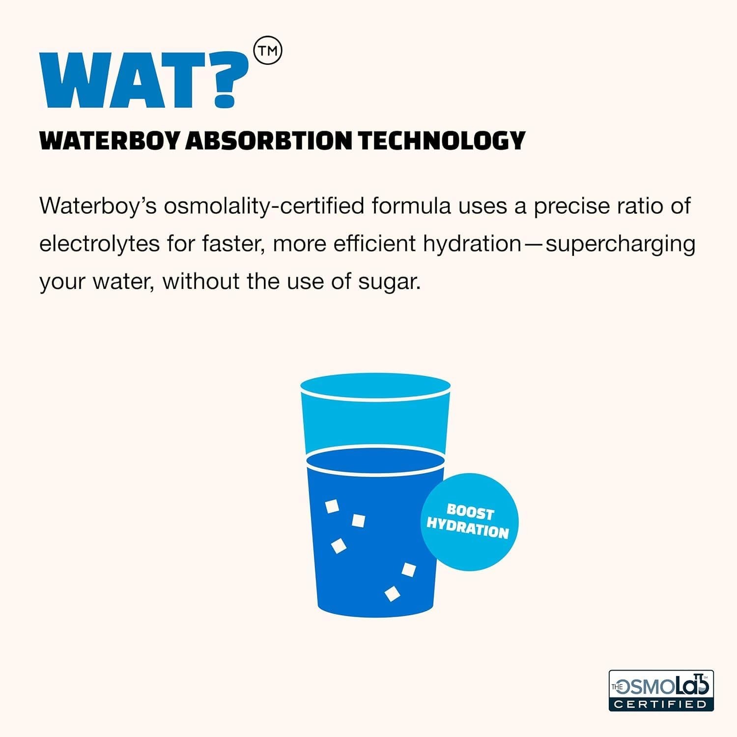 Waterboy Workout Hydration 2,960mg Sugar Free Electrolyte Powder Packets 15Stick