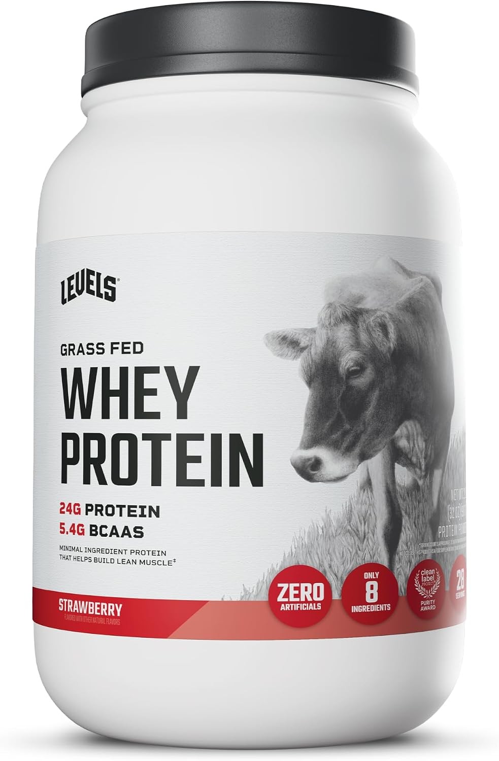 Whey Protein Powder 1LB Double Chocolate BCAA Clean No Sugar Proteina Suplemento