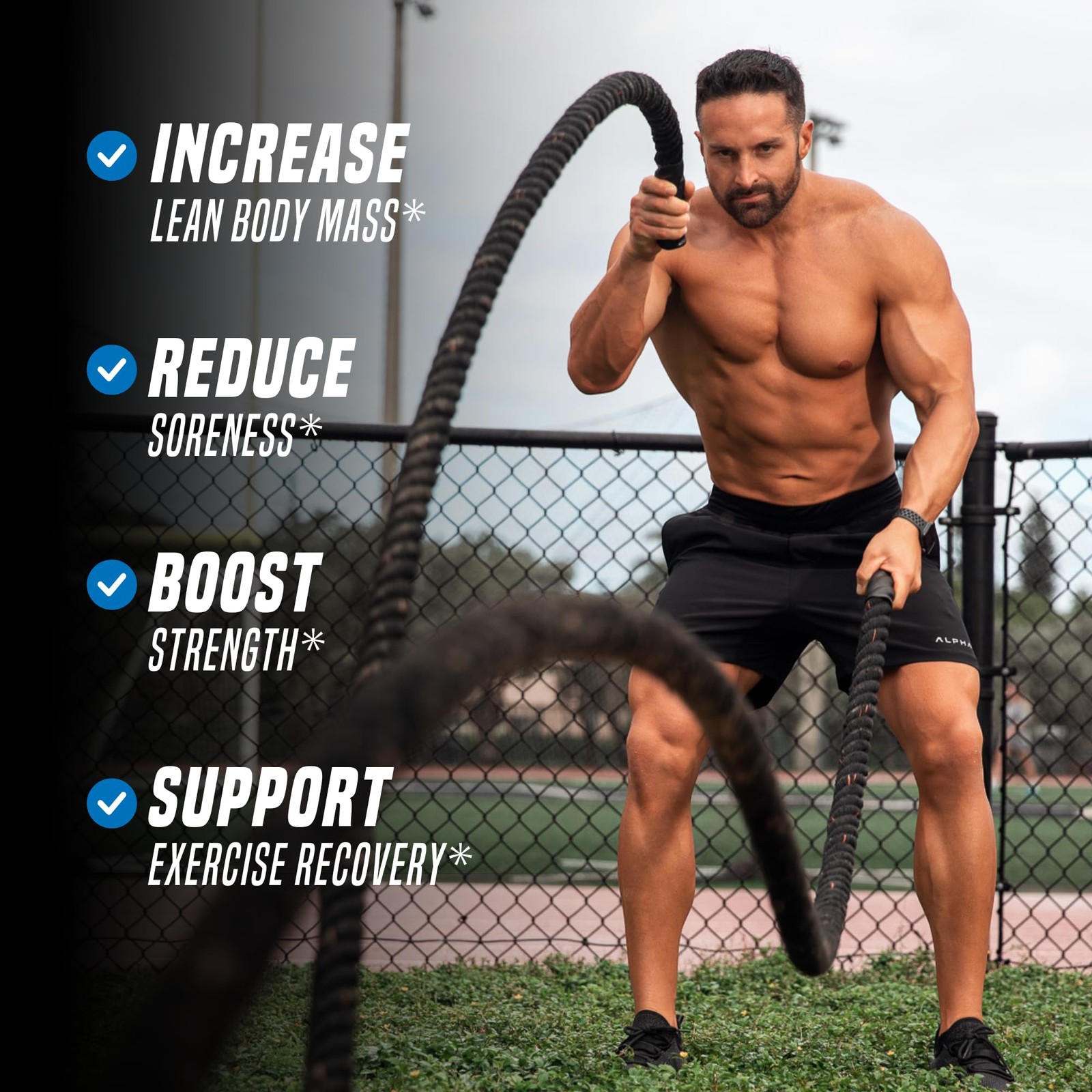 Outwork Nutrition Post-Workout Recovery: Creatine, KSM-66 Ashwagandha, Betaine