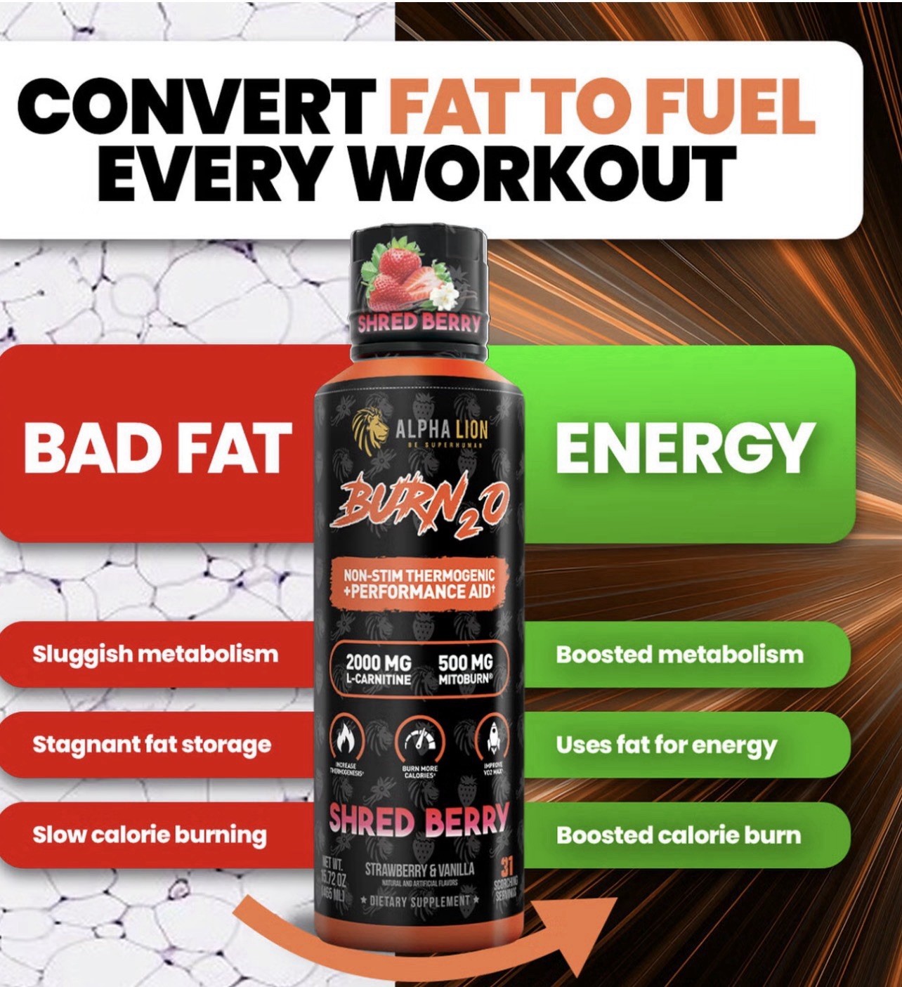 Alpha Lion Burn 2O FIERY PUNCH 🔥 SHIPS FREE