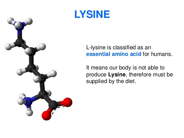 energy boost and focus supplement – L-LYSINE 500MG 1B – l-lysine caplets
