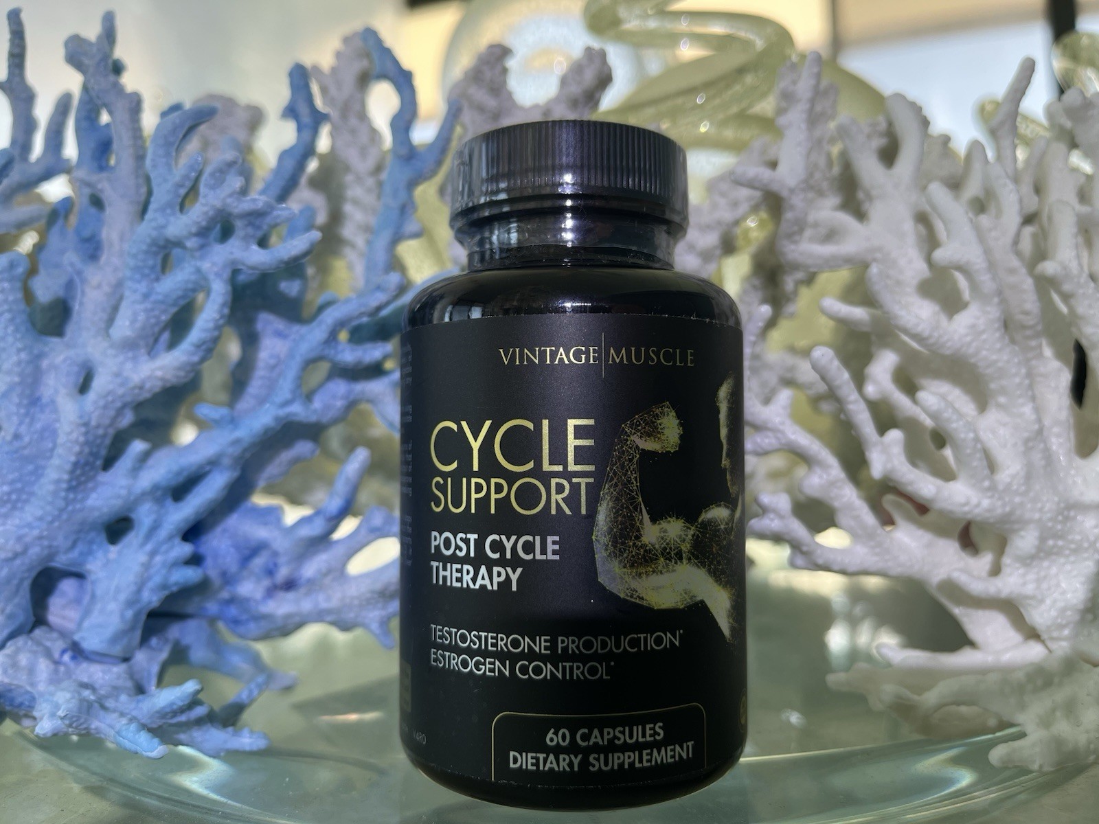 Cycle🔁Support Post Cycle Therapy 💊4 Test Production By Vintage Muscle💪🏛️