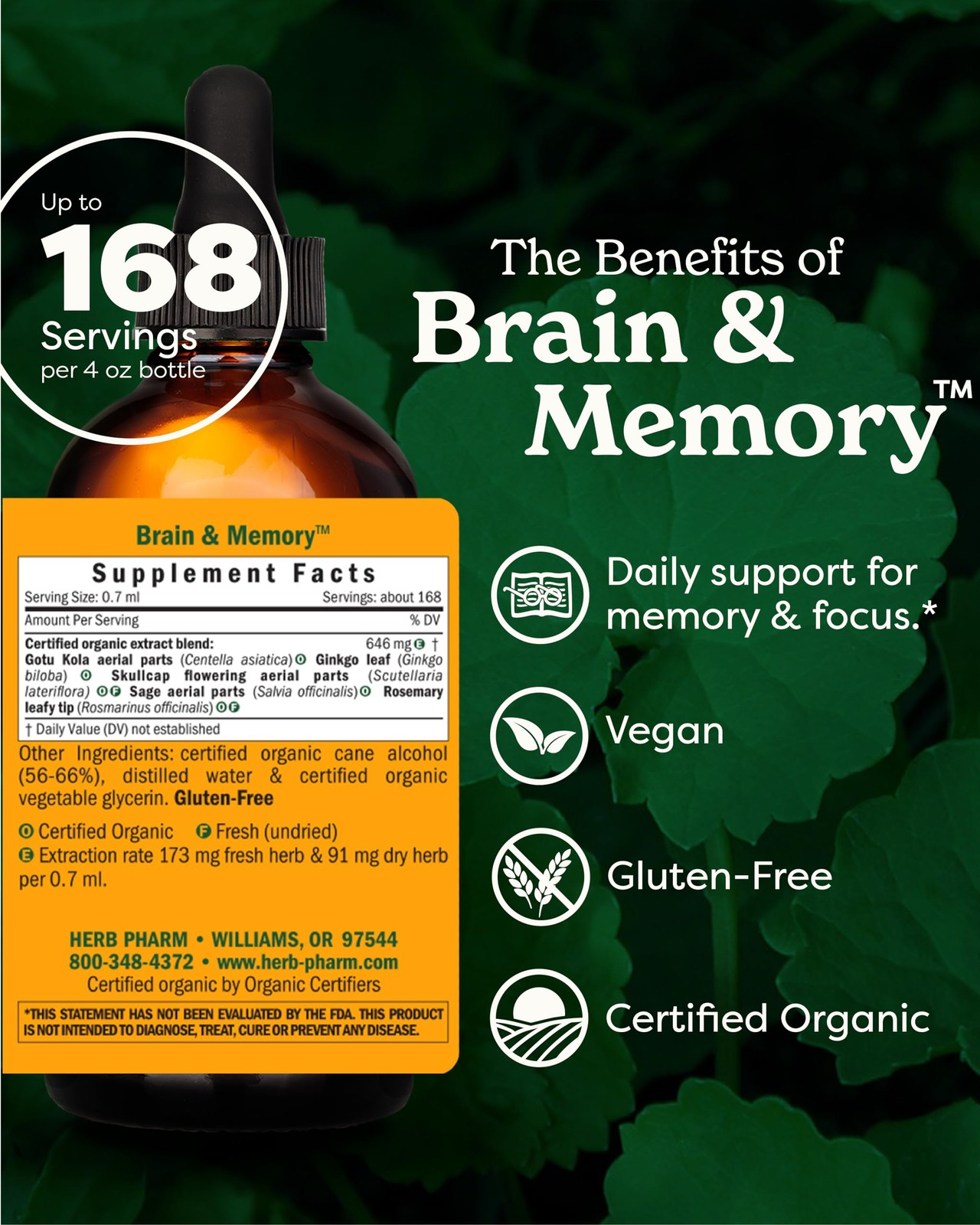 Herb Pharm Brain & Memory Liquid Herbal Formula, Ginkgo, Focus, 4 Fl Oz