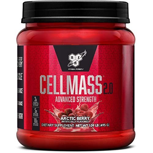 Post Workout Creatine Powder BCAA Glutamine 5g Matrix Keto Friendly Arctic Berry