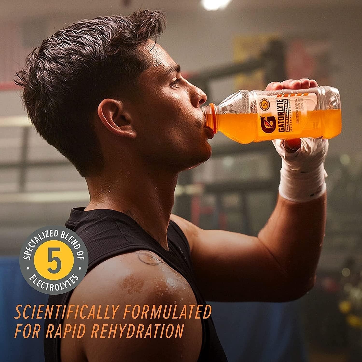 Rapid Rehydration Electrolyte Drink, Glacier Freeze, 20 fl oz Bottles (12 Pack),