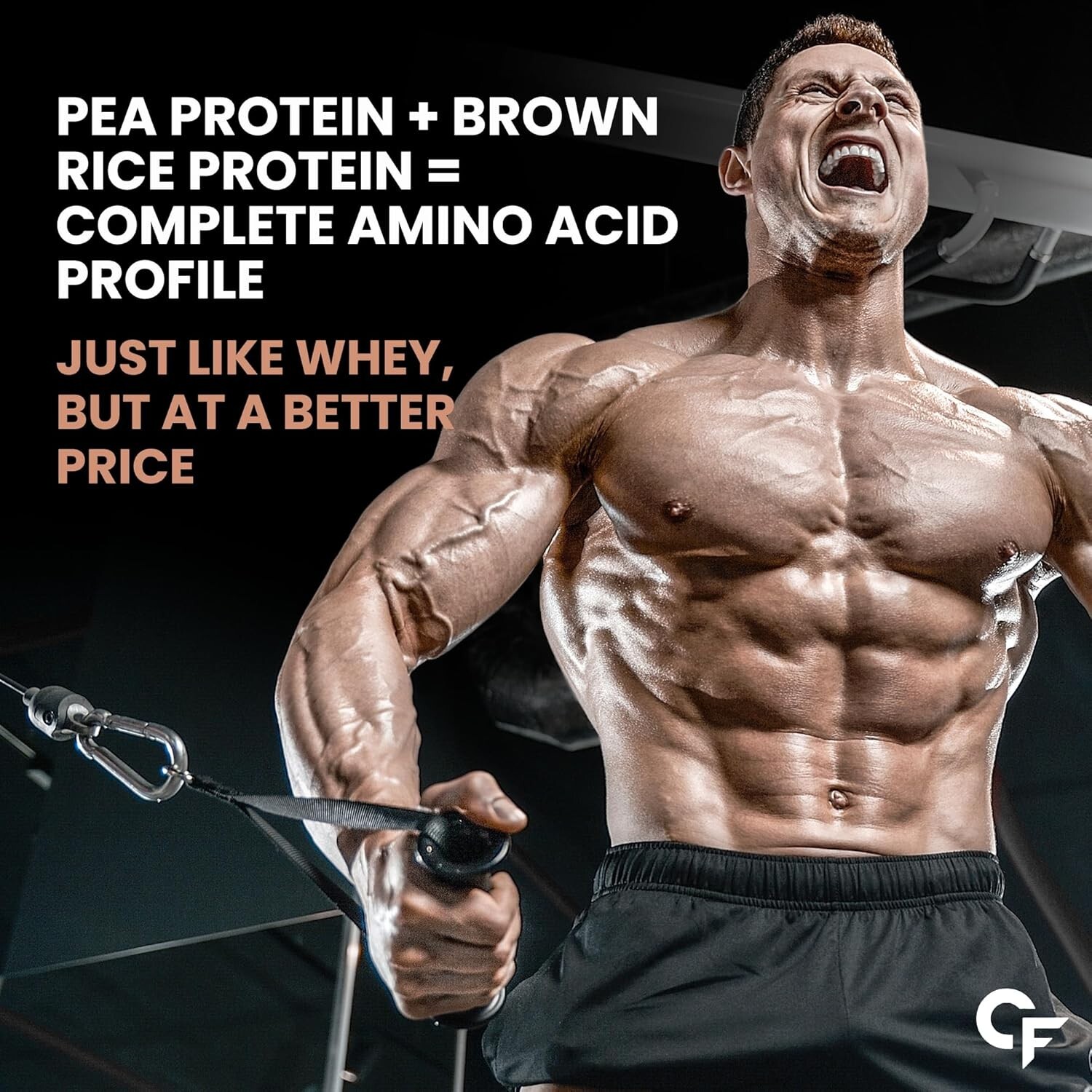 Carbamide Forte Plant Protein Powder:Multivitamin, Minerals,Superfoods 5 Flavors
