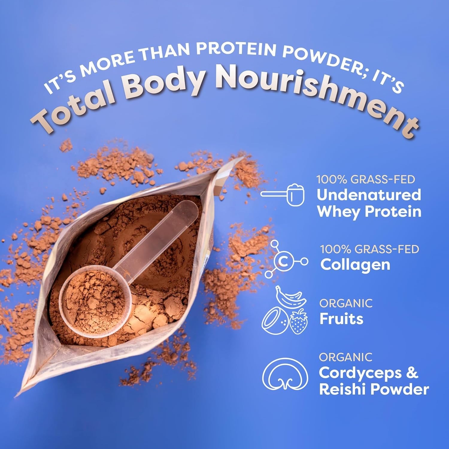 FlavCity Grass Fed Whey Protein Powder – Variety Pack – 25g Protein & 10g Collag