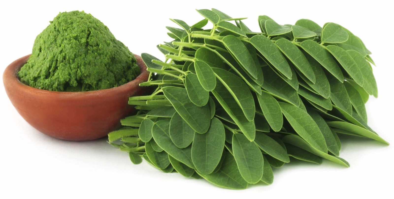Organic india Moringa – MORINGA OLEIFERA EXTRACT – weight loss – 2 Bottles