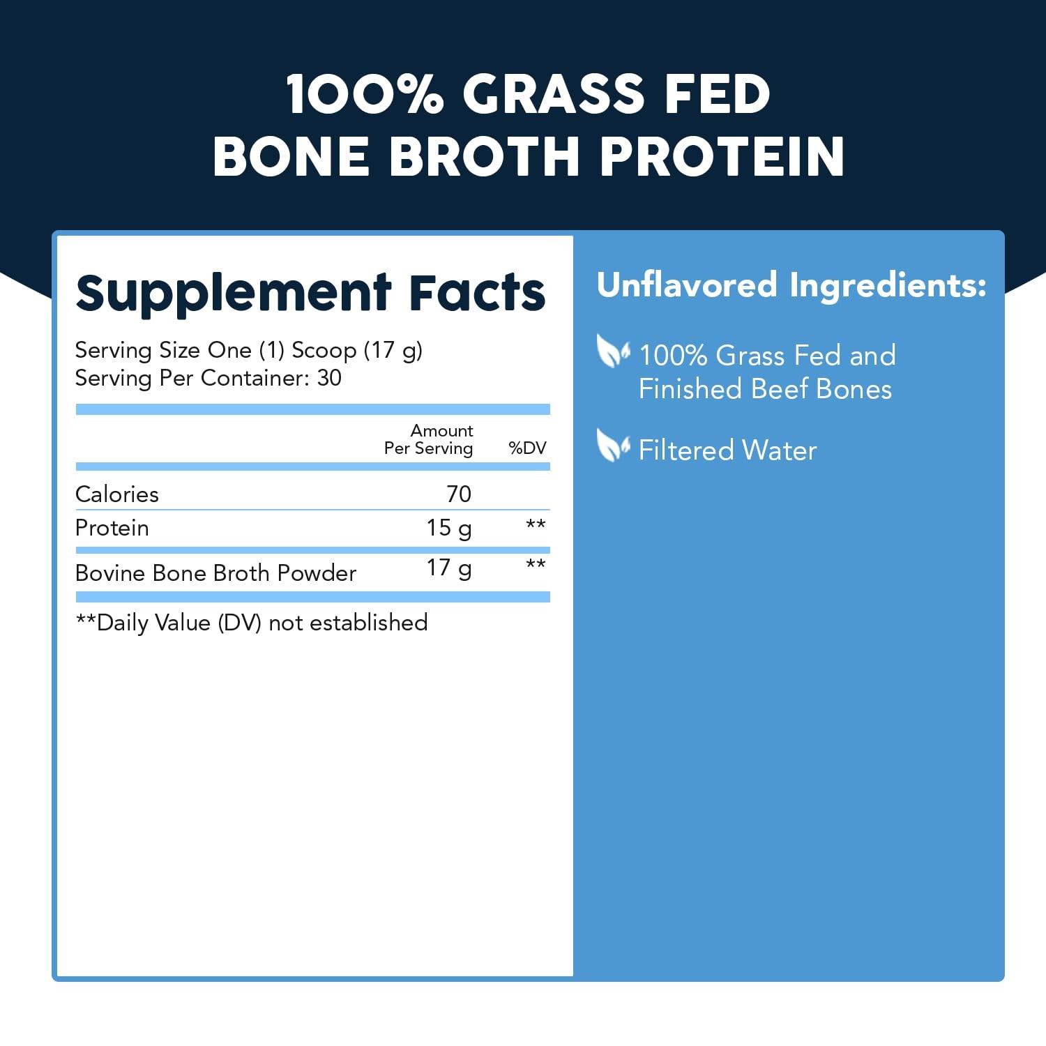 Paleovalley 100% Grass Fed Beef Bone Broth Protein 1.05 Pound (Pack of 1)