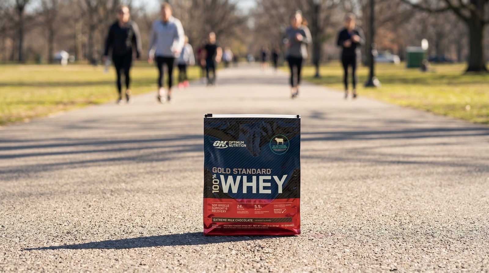 Optimum Nutrition Gold Standard Whey Protein Supplements – Chocolate