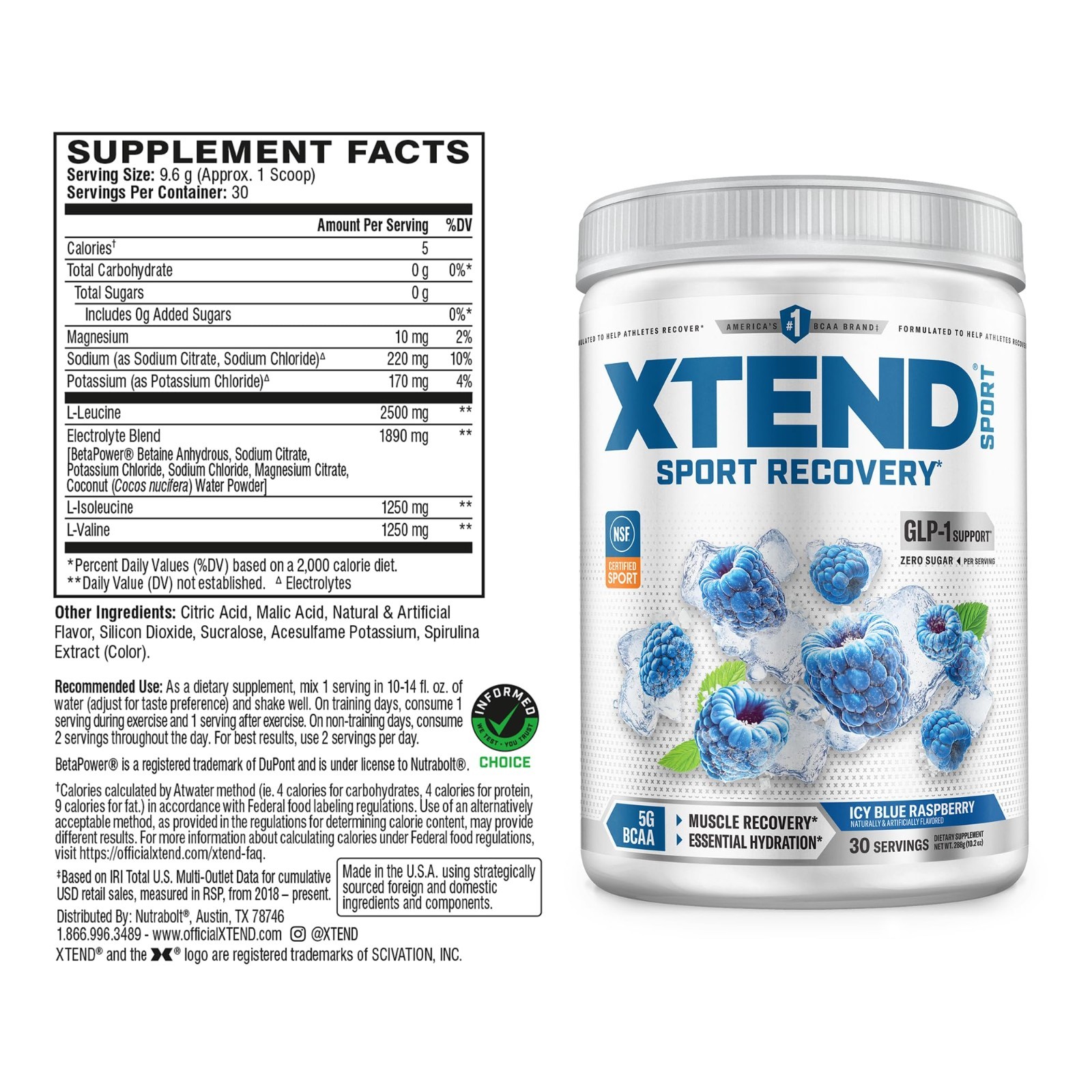 BCAA Powder Blue Raspberry Ice – Electrolyte Recovery & Hydration Amino Acids –