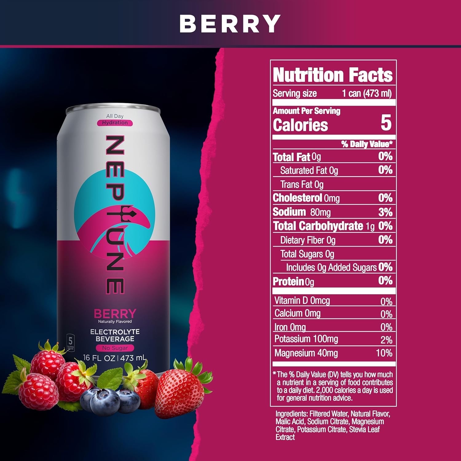 Neptune – Sugar Free, Electrolytes, Hydration Drink – Berry, 16oz (12 Cans)