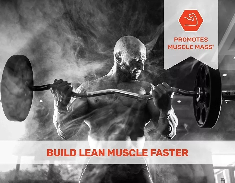 Aamzg Major Load Nutrition for Vitality Performance Energy Endurance Support+