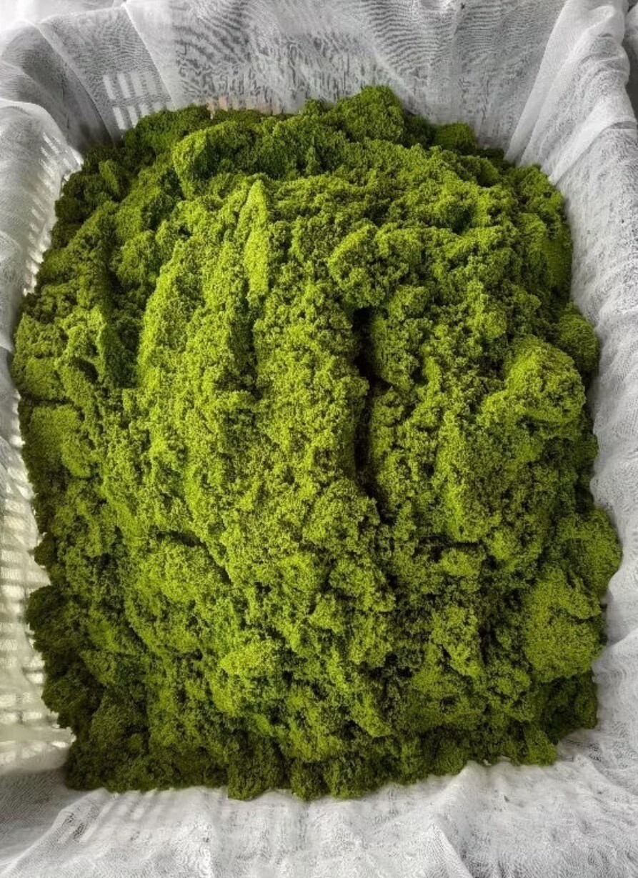 100g Wolffia Organic Dried Powder Natural Super Food High Vitamin Fiber Protein