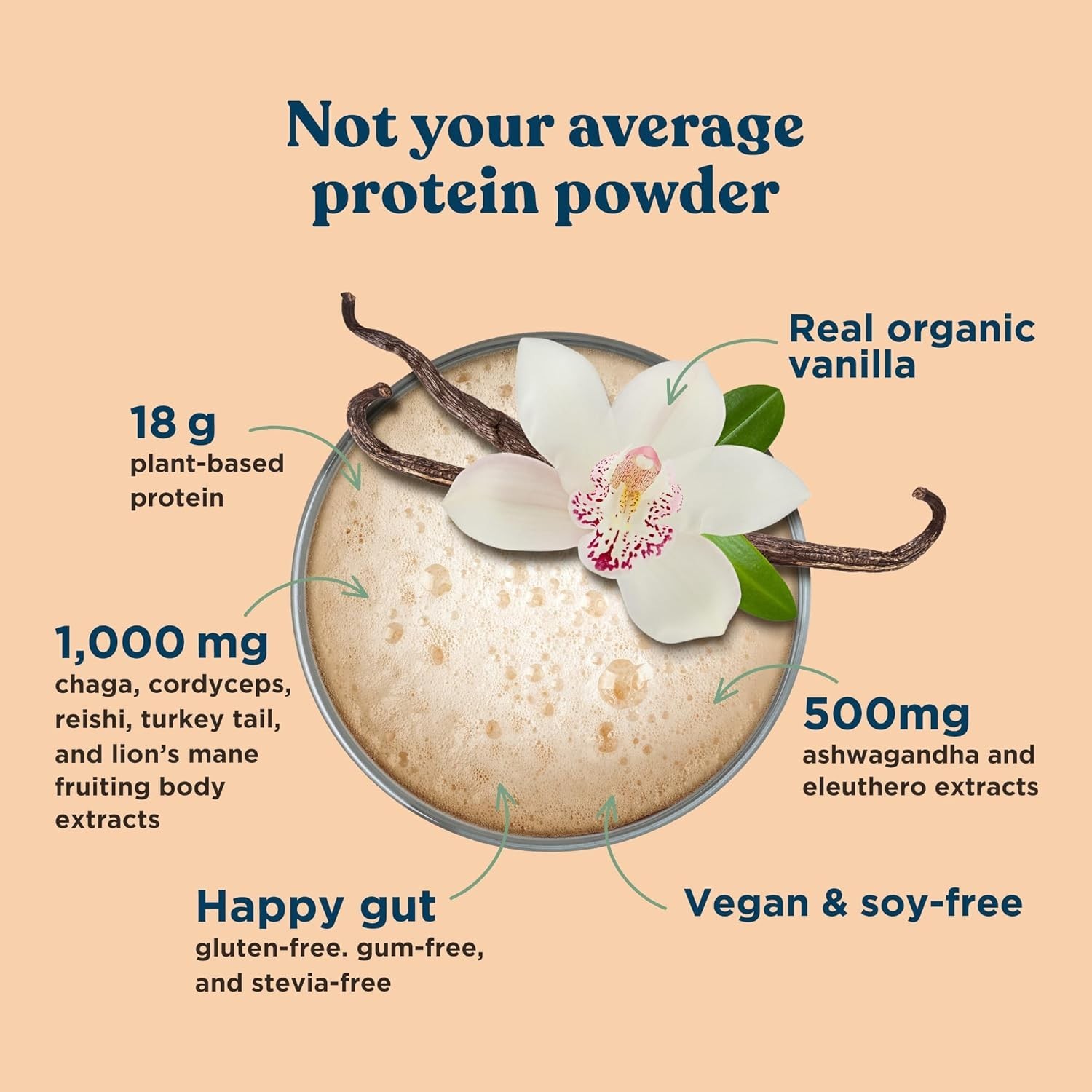 Vegan Protein Powder with Adaptogens 15 Servings 18g Plant Based Protein