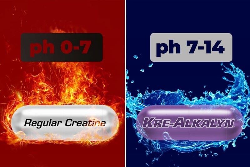 Amix Creatine KREA-ALKALYN 1500, 220 capsules 110 servings