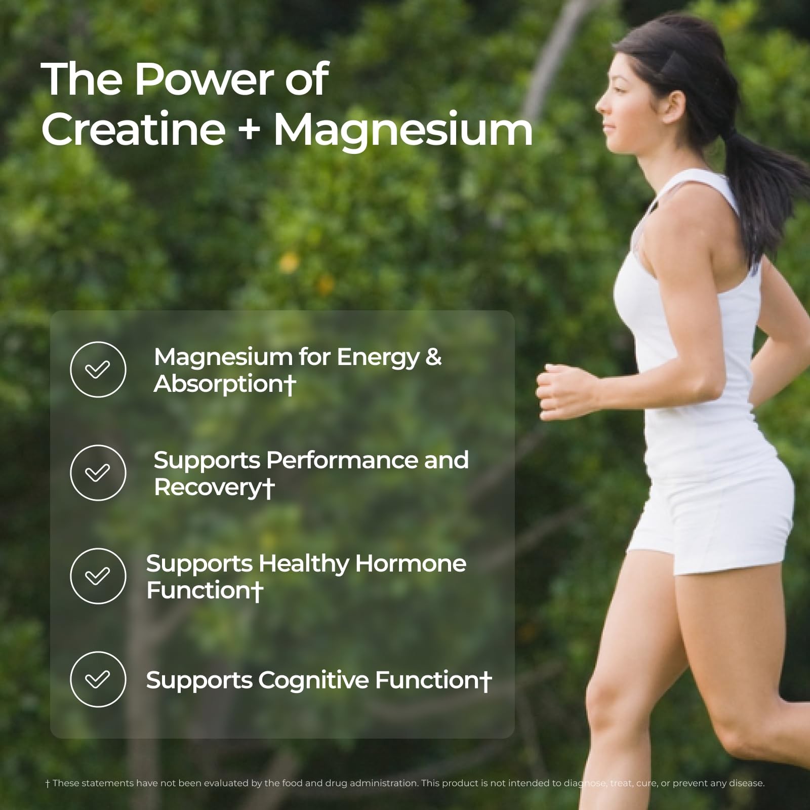 Creatine + Magnesium Powder, Unflavored | 5g Micronized Creatine Monohydrate …