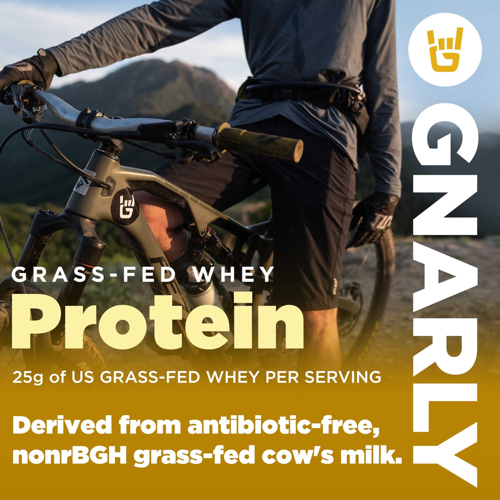 Gnarly Nutrition Chocolate Protein Powder Nsf Sport Certified 25G Protein