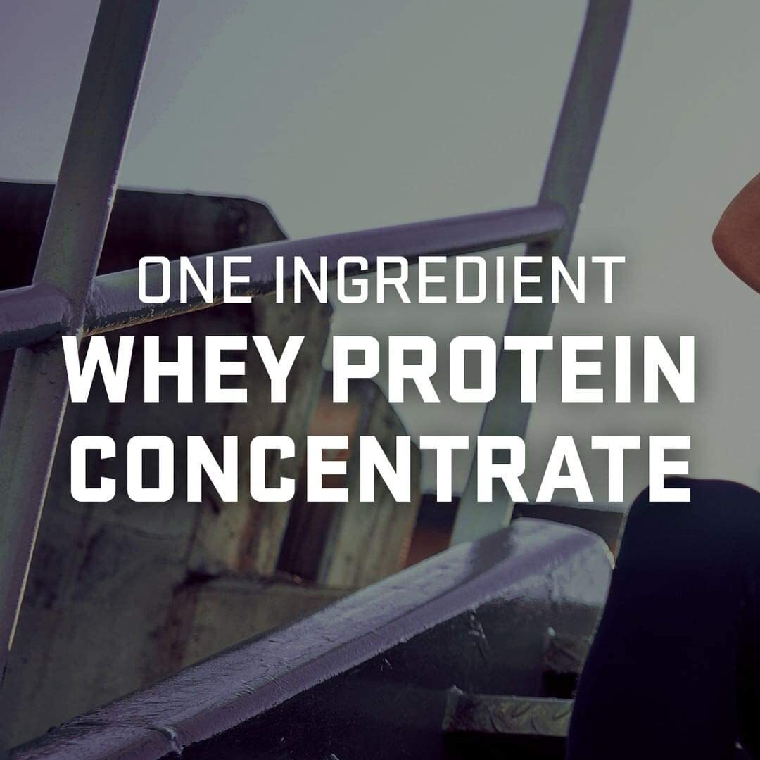 RAW Whey Protein Concentrate Powder – 24 gm of Protein 2.2 lbs, Unflavored