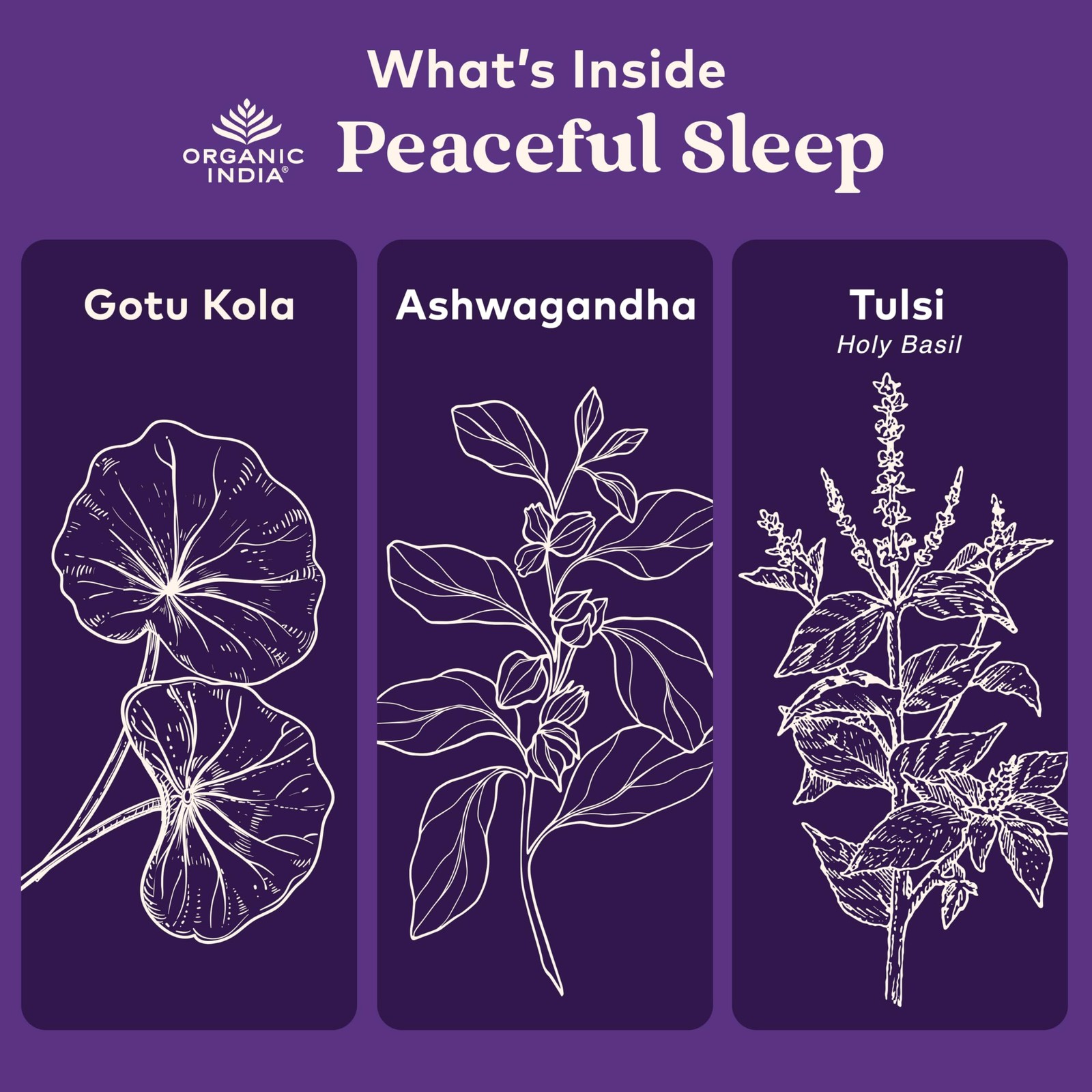 Organic India Peaceful Sleep Herbal Supplement – Deep Sleep Aid For Adults