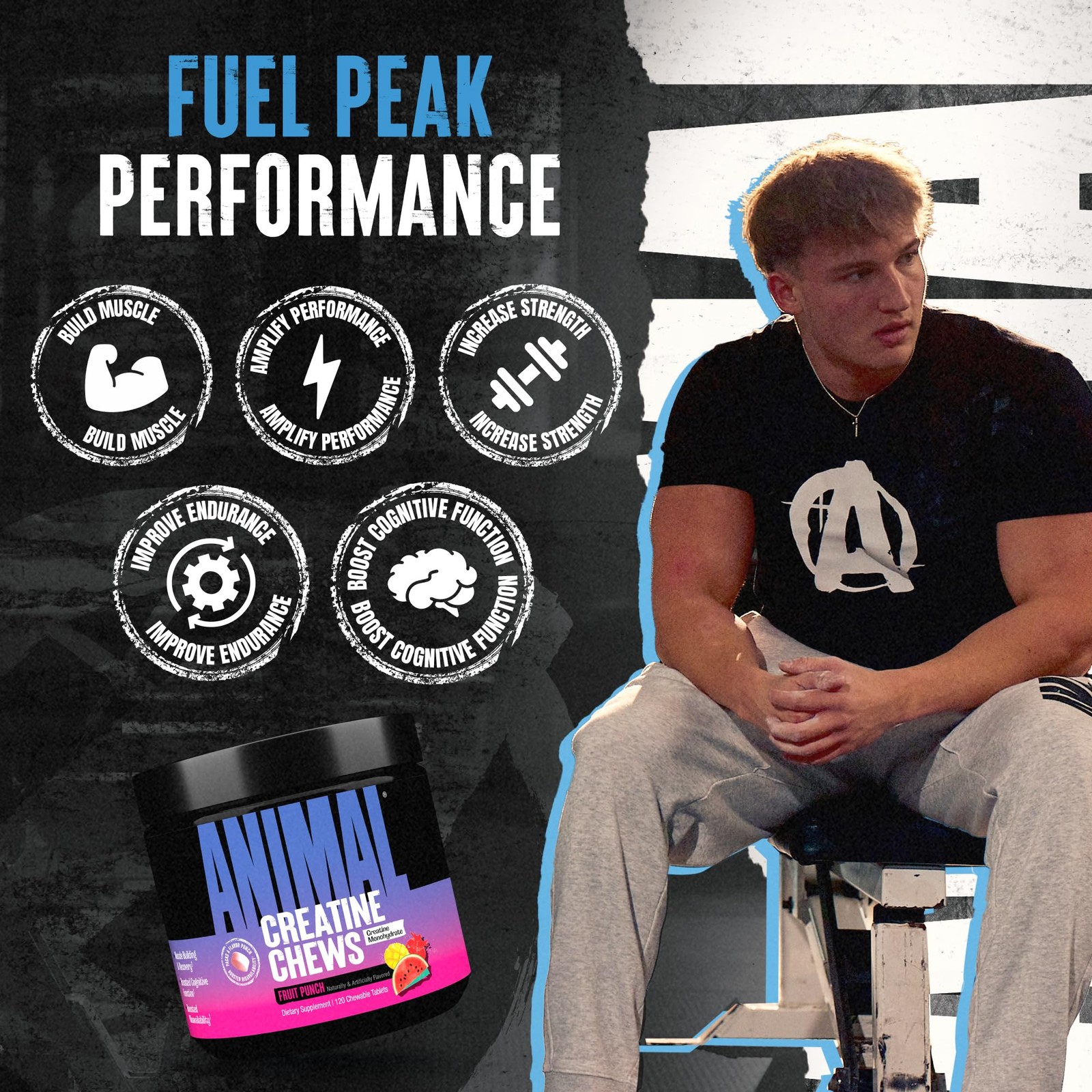Animal Creatine Chews Tablets – Enhanced 120 Count (Pack of 1), Fruit Punch