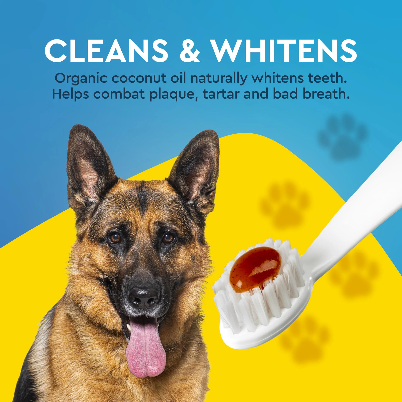 RADIUS USDA Organic Canine Toothpaste, Sweet Potato Cinnamon Flavor, 3 Ounce
