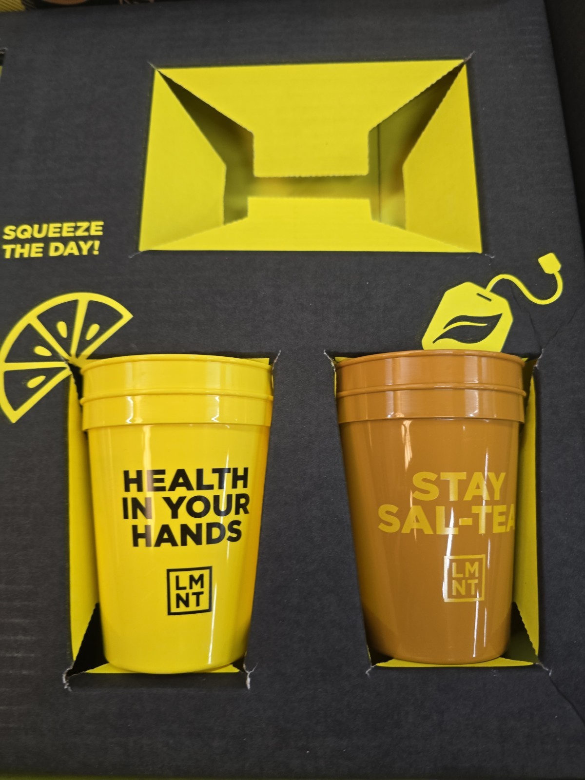 LMNT Lemonade + Iced Tea Kit: 2 Qt. Pitcher , Picnic Blanket, (4) Cups,