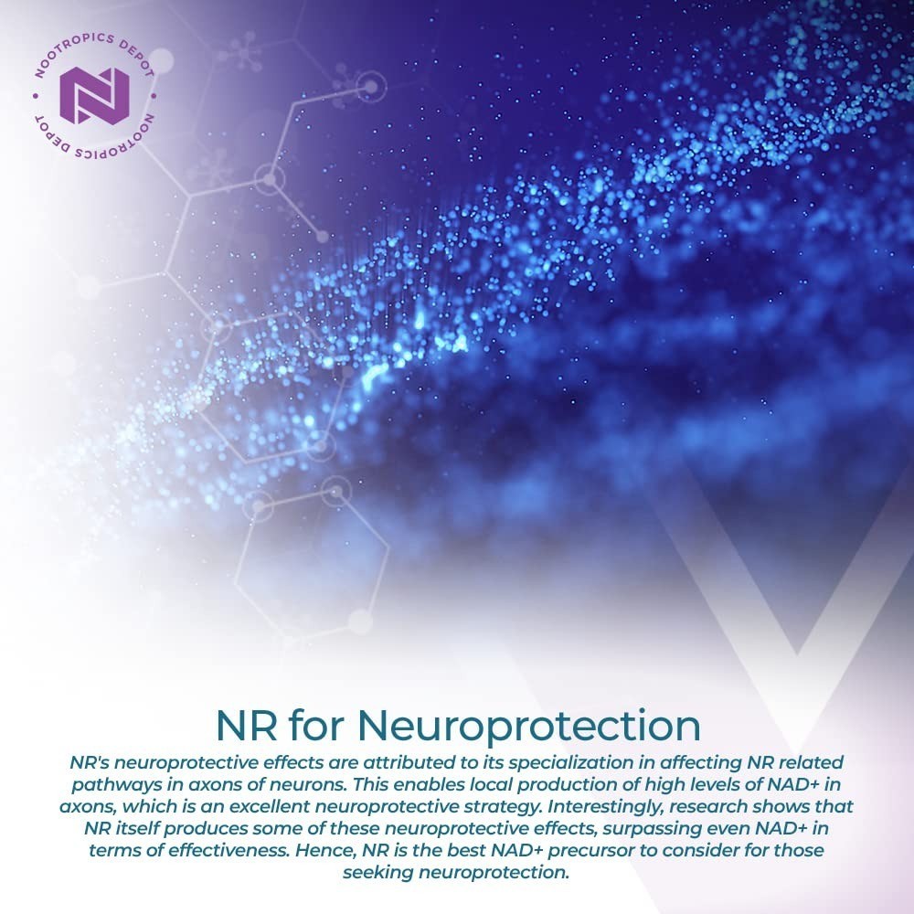Nootropics Depot Nicotinamide Riboside Capsules 300mg 30 Count