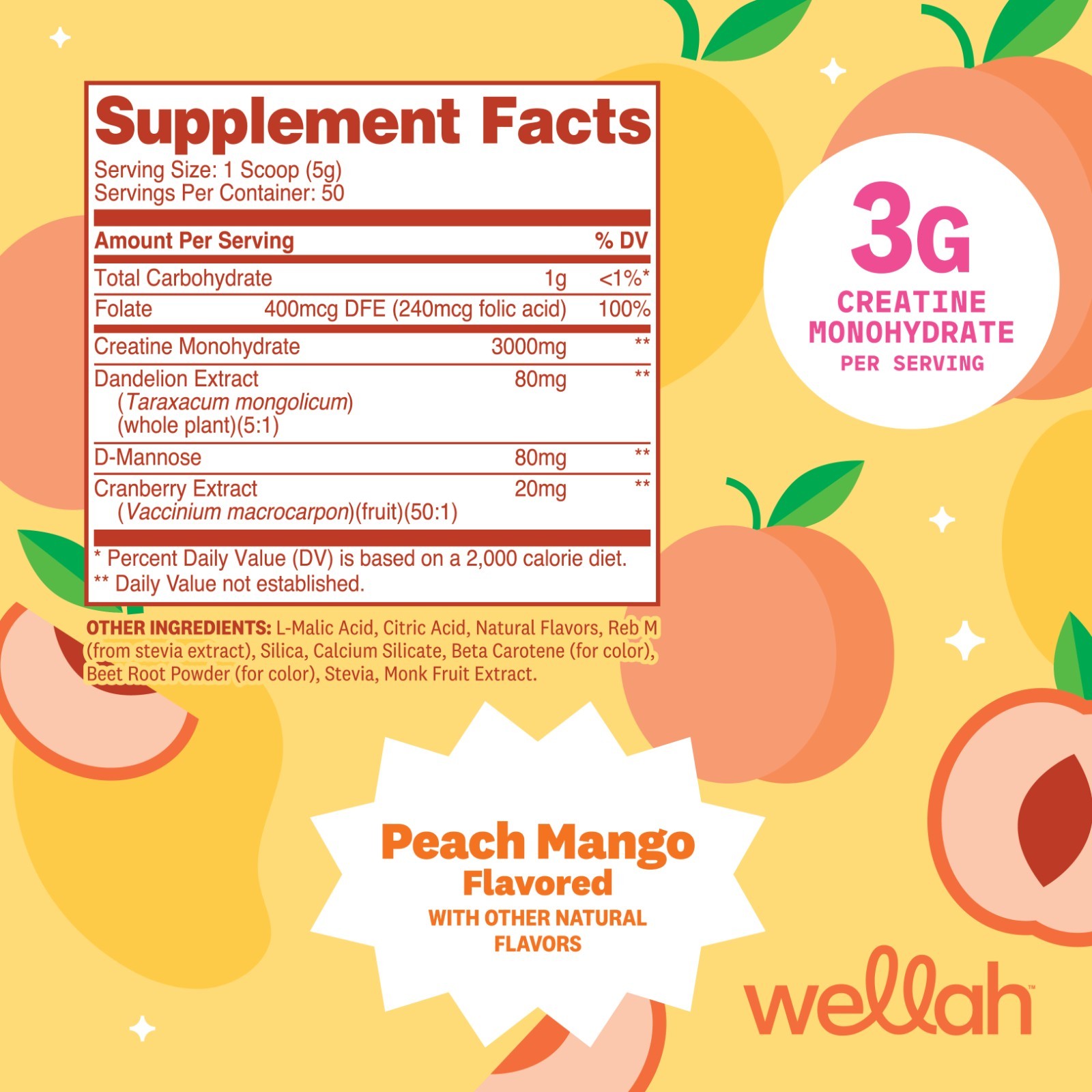 Wellah Creatine for Women – Creatine Monohydrate (50 Servings, Peach Mango)