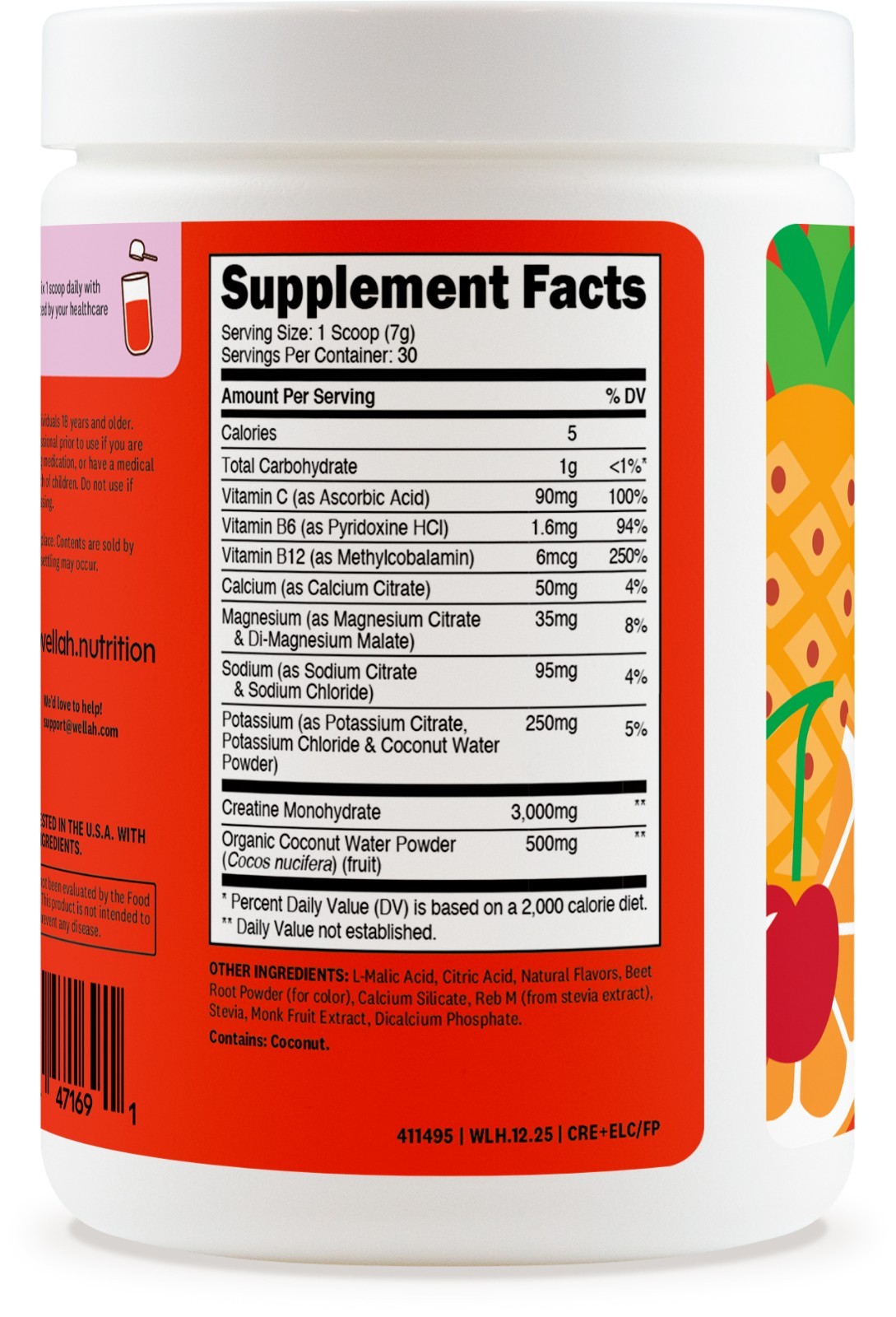 Wellah Creatine + Hydration Powder (Fruit Punch) 30 Servings – Drink Mix