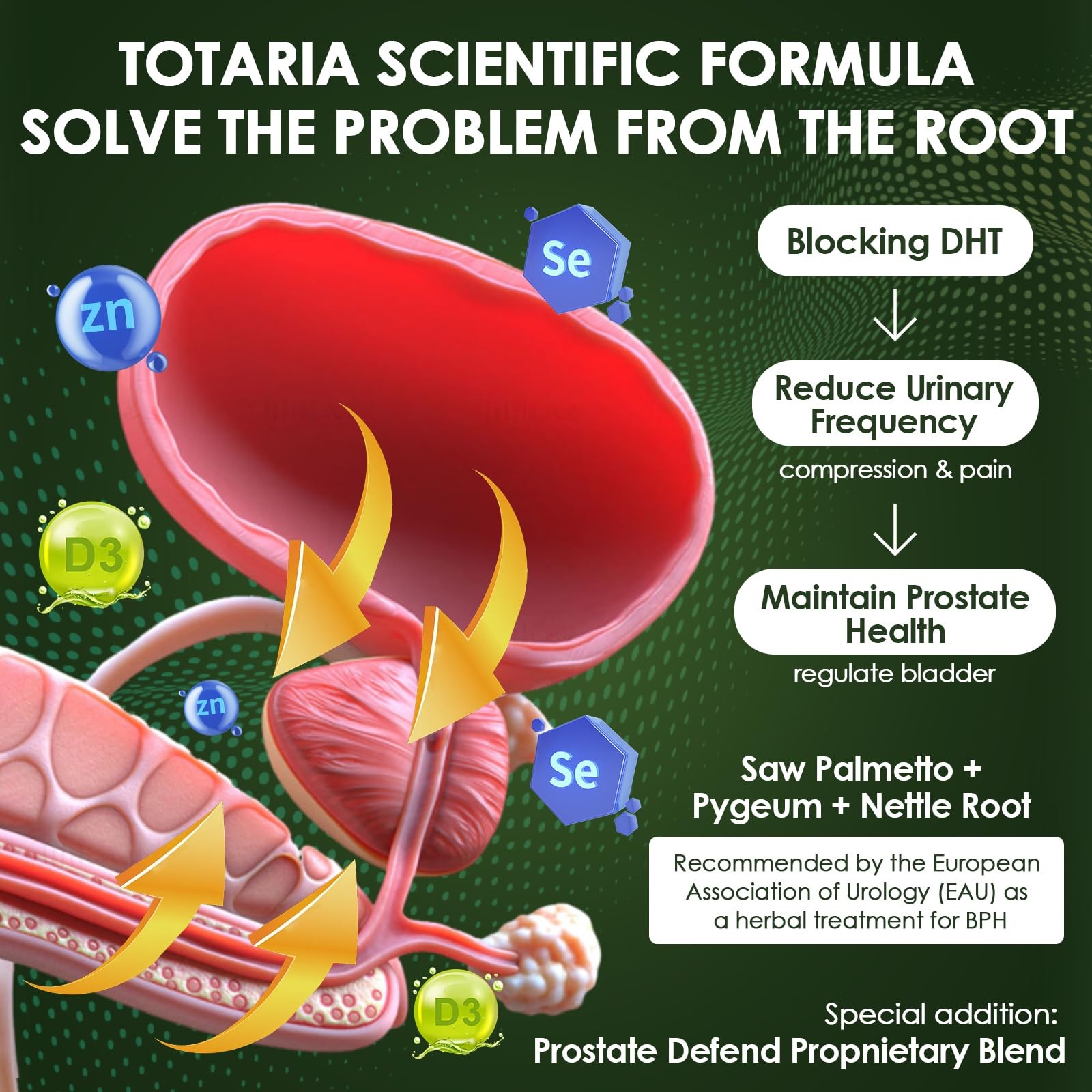 Totaria 2Pack Organic Saw Palmetto – Prostate Health 120 Count (Pack of 2)