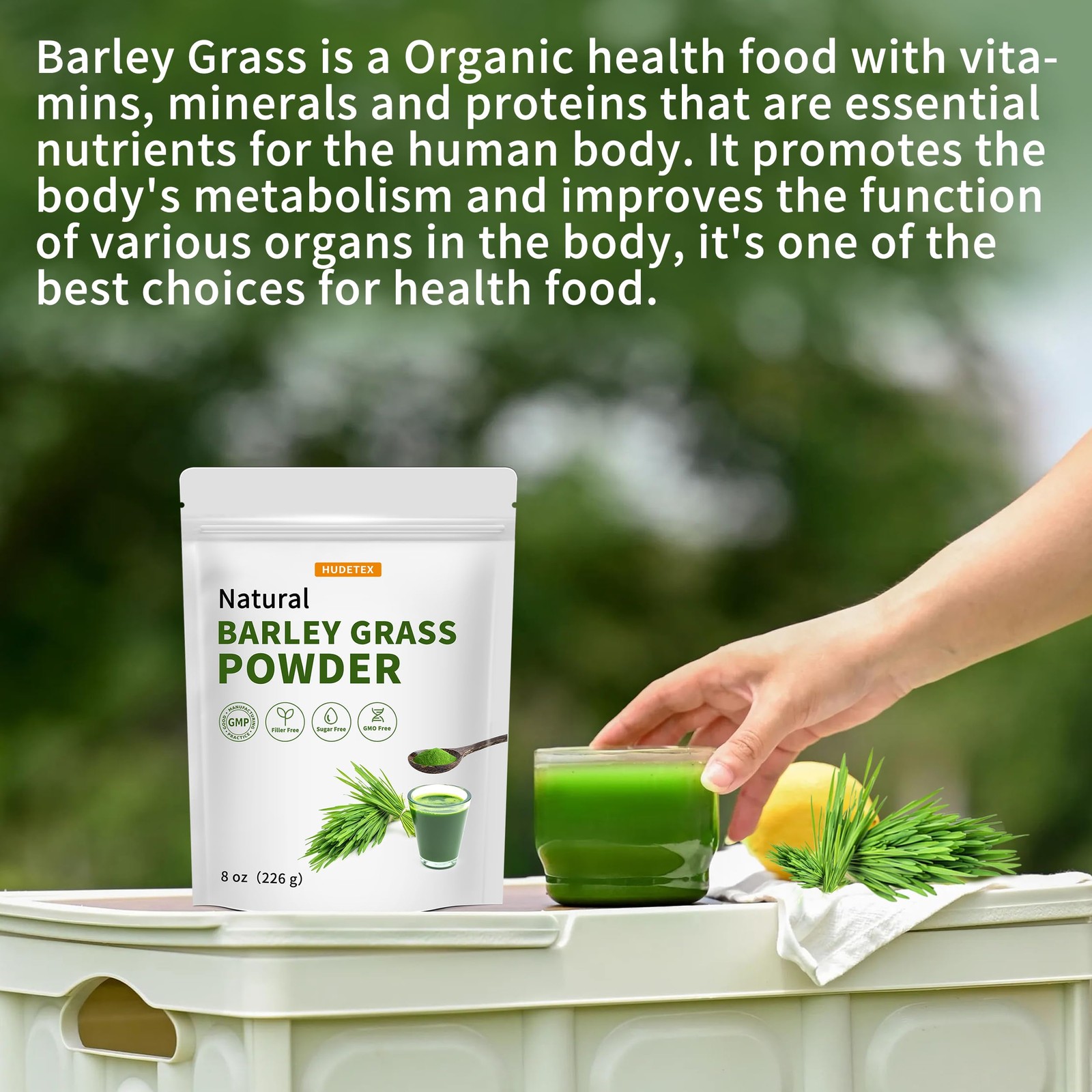 Barley Grass Juice Powder ，Rich in Chlorophyll & Natural 8 Ounce (Pack of 1)