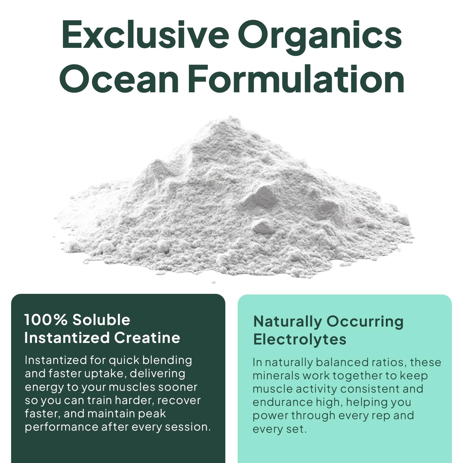 Organics Ocean Krealyte Fusion – Instantized Creatine Monohydrate Powder with…