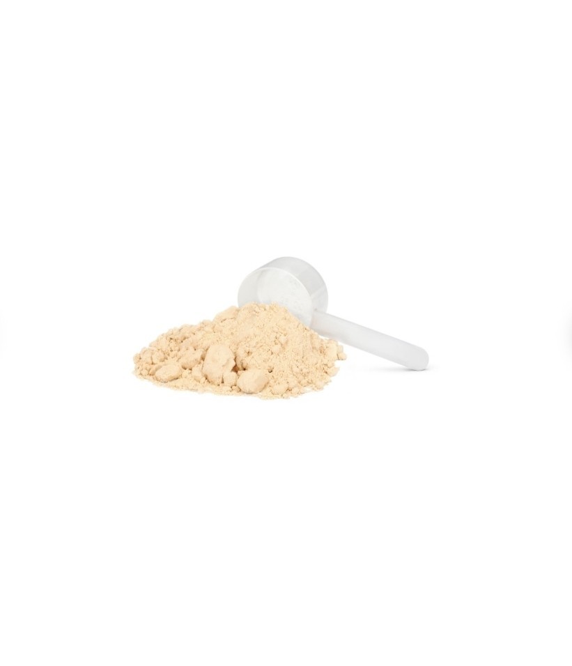 Nutrilite Plant Protein Powder Organic – Vanilla