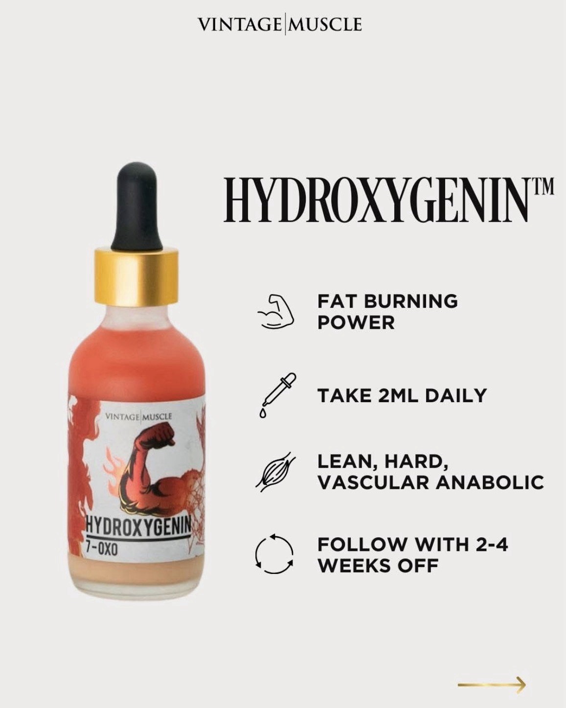 Ultimate Elite Lean Gainer Cycle 🔁 Bundle deal By Vintage Muscle💪