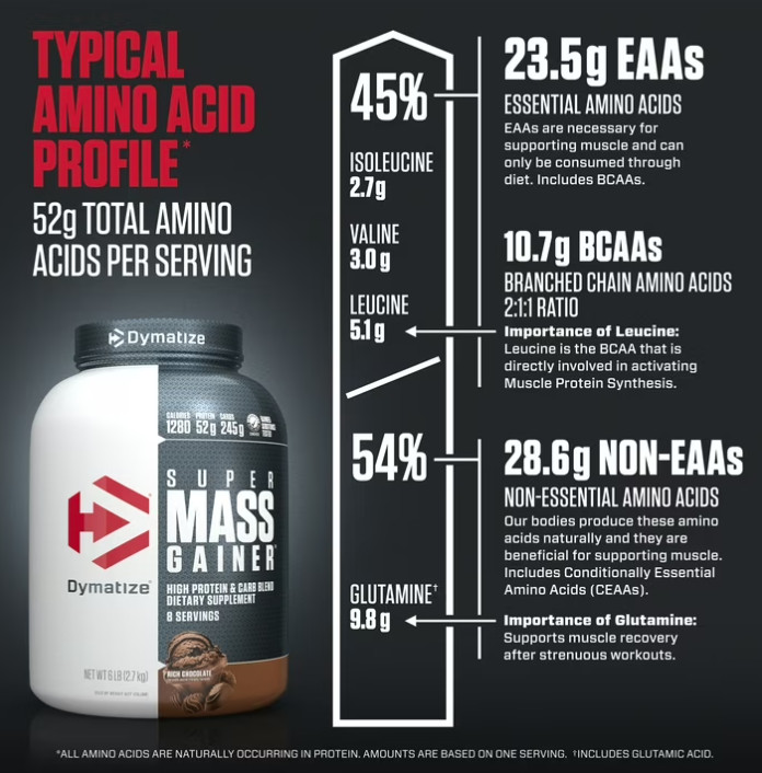 Dymatize Super Mass Gainer, Rich Chocolate, 6 lbs