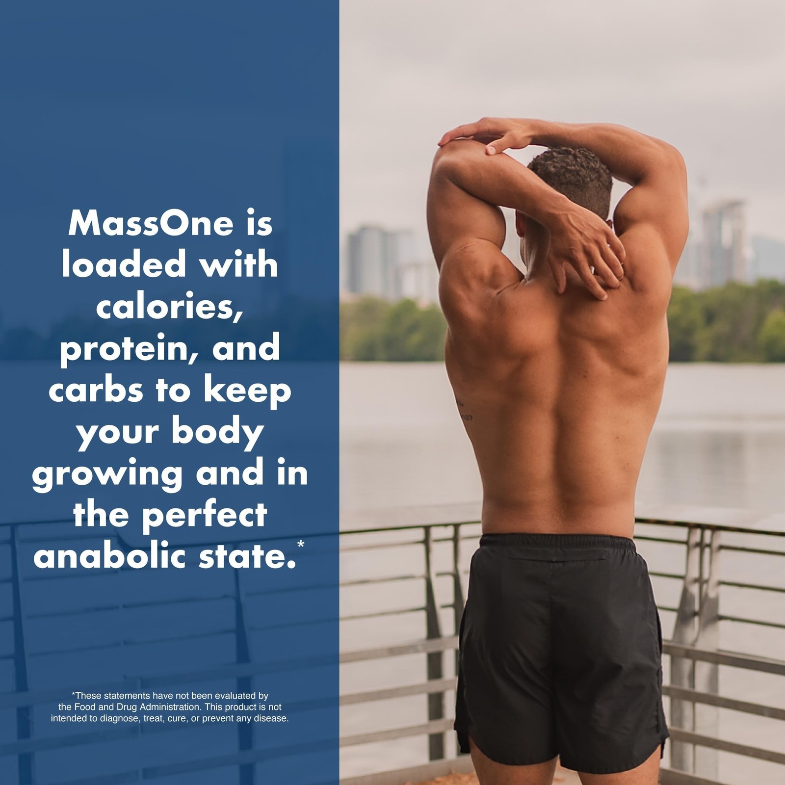 Massone Mass Gainer Protein Powder by NutraOne – Gain Weight Protein Meal Rep…