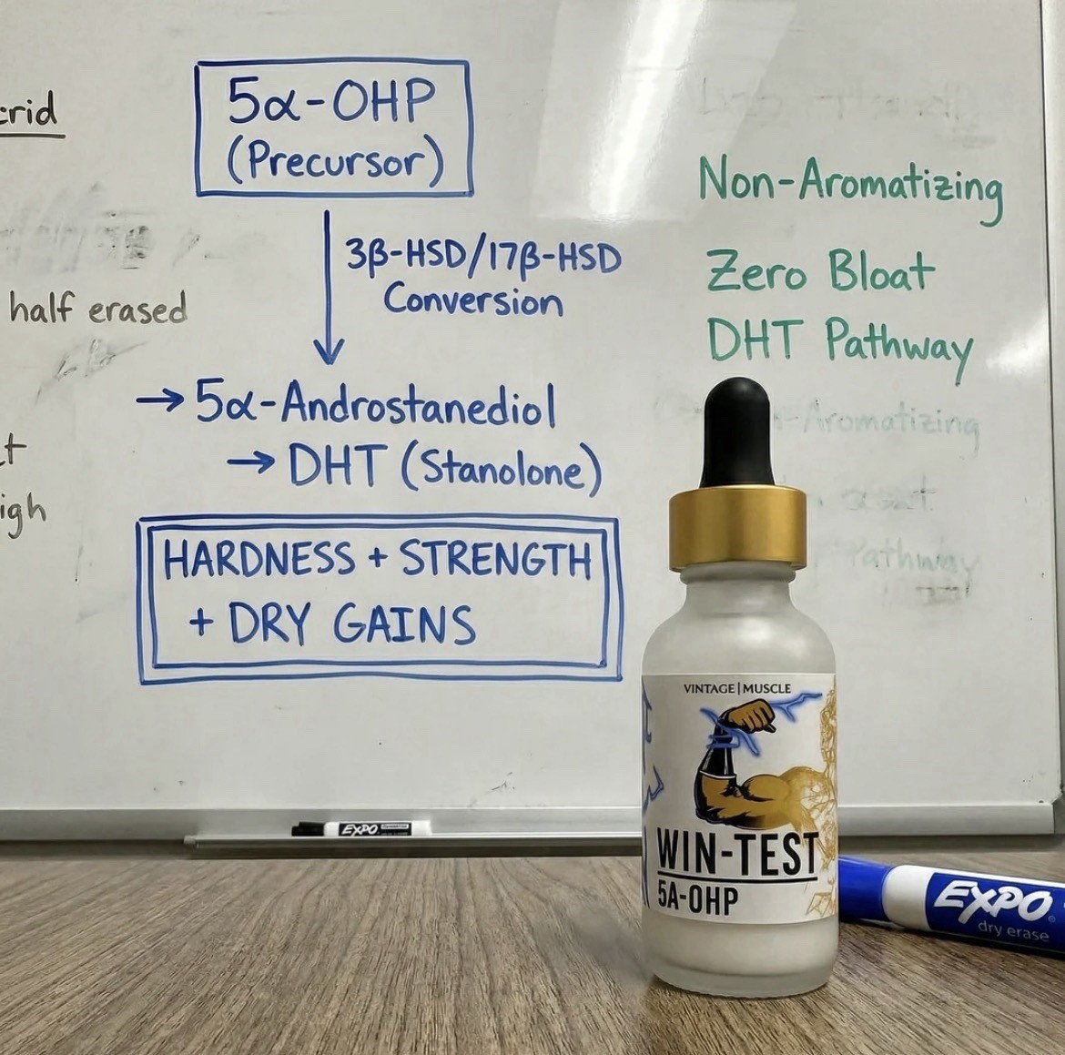 Wintest Striated Dry Gainer 2 Step Precursor To Winstrol By Vintage Muscle 💪