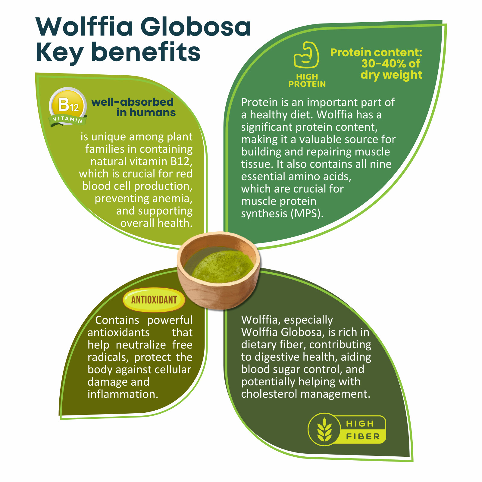 Pure Dried Wolffia Globosa Powder Plant Base High Protein Superfood, B12 Vegan