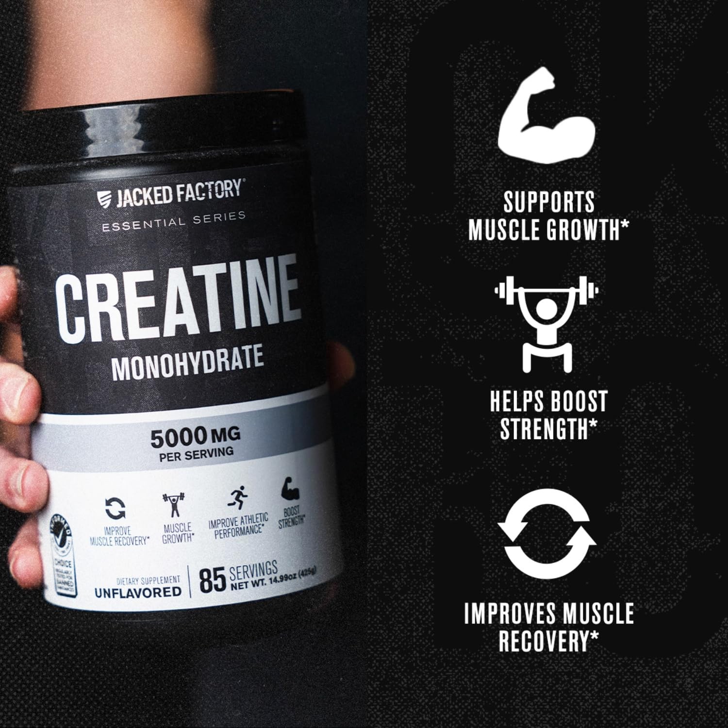 Jacked Factory Creatine Monohydrate Powder 425g 5g Daily Creatine Supplement…