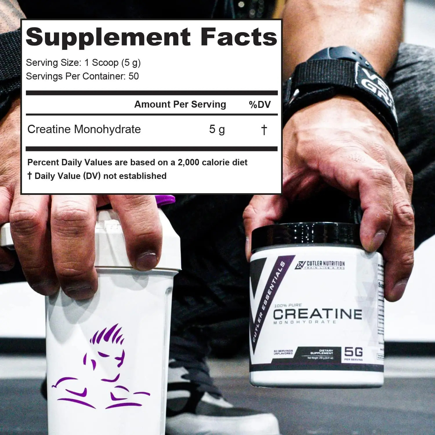 Muscle and Recovery Support Creatine Monohydrate with Carnitine for Brain Health