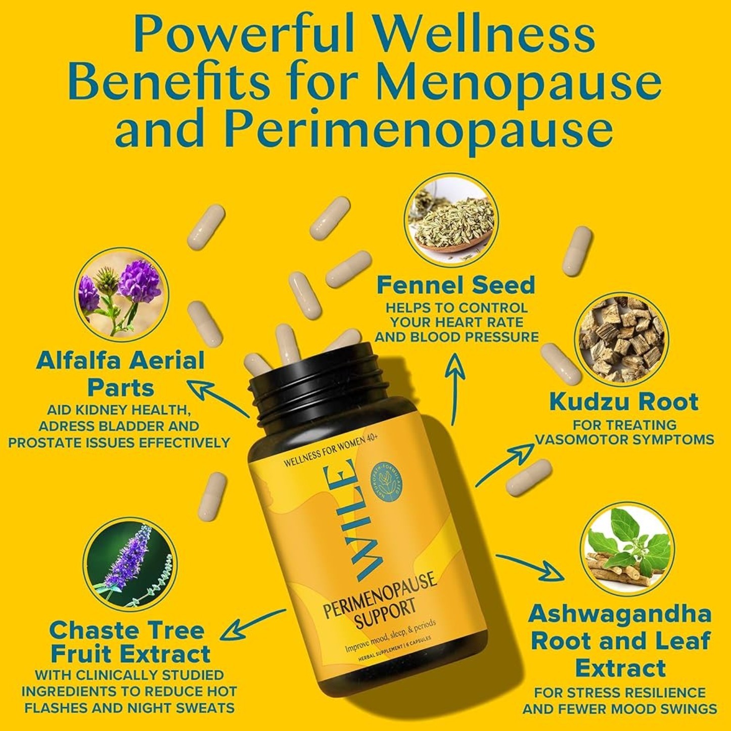 WILE PERIMENOPAUSE SUPPORT Mood & Sleep 60 Capsules (30 Servings) BEST BY 08/26