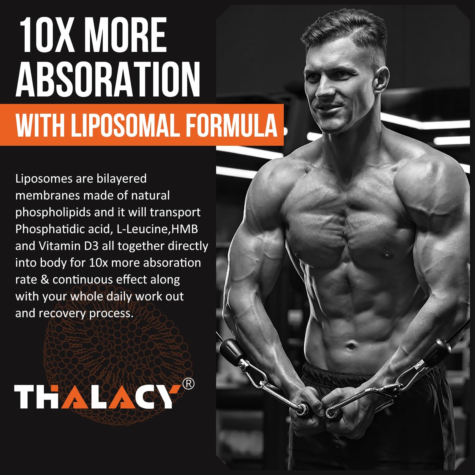 Thalacy 2000mg Liposomal Phosphatidic Acid Muscle 1 Count (Pack of 60)