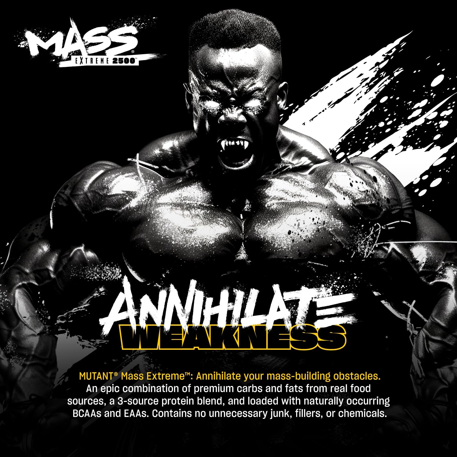 Mass Gainer Whey Protein Powder 2500 High Calorie Triple Chocolate 6 lbs