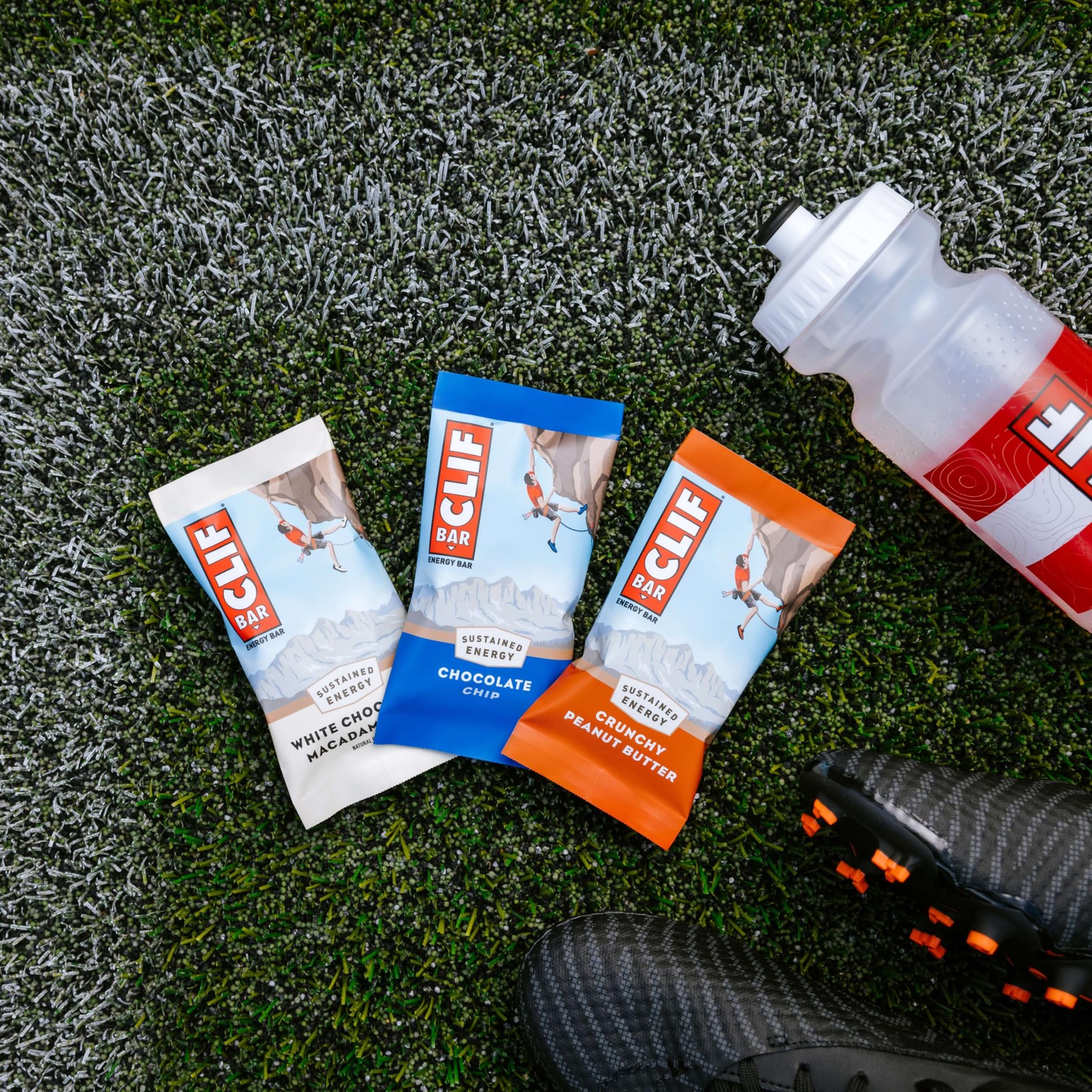 CLIF BAR – Energy Protein Bars – Crunchy 15 Count, Peanut Butter
