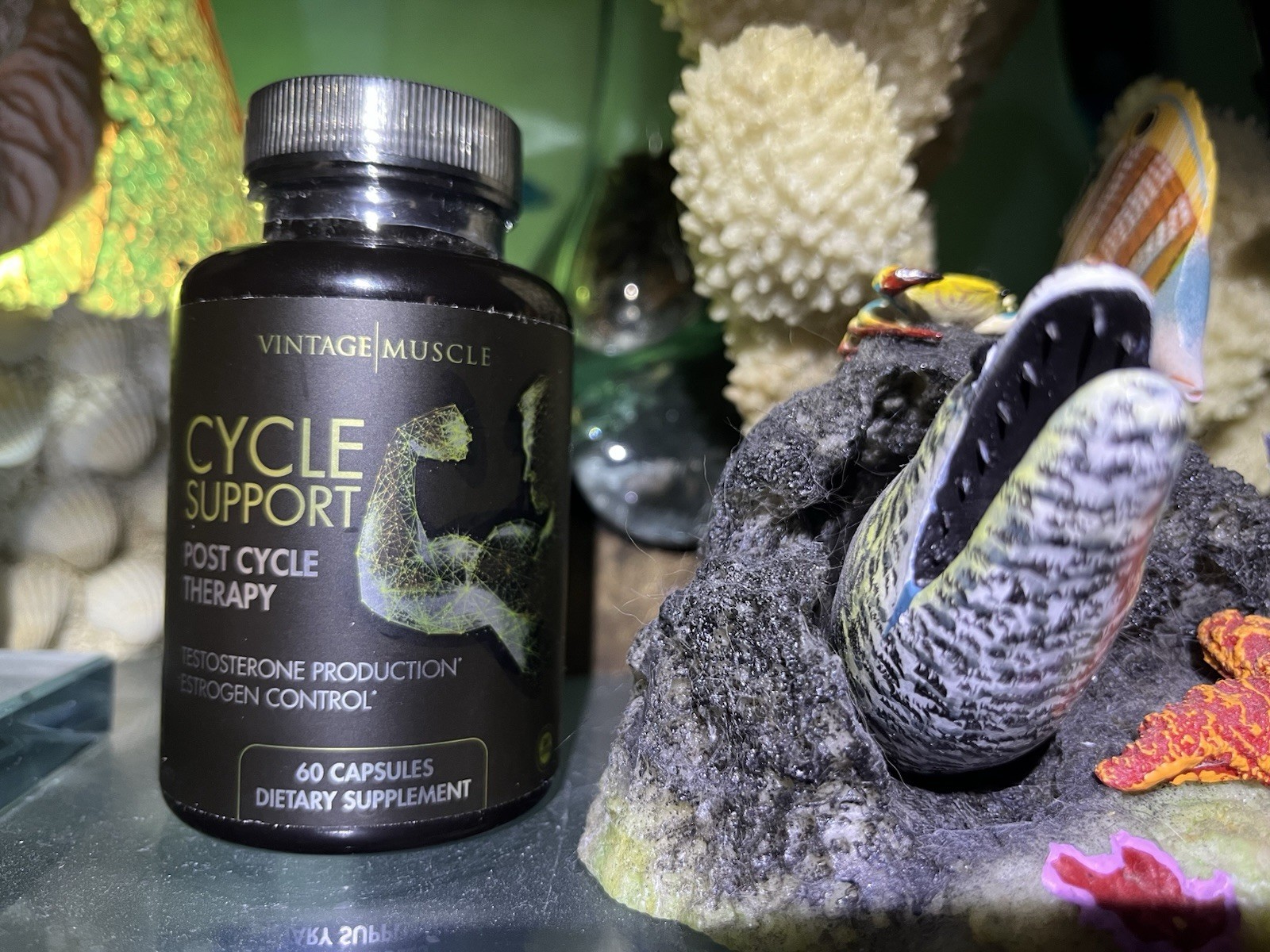 Cycle🔁Support Post Cycle Therapy 💊4 Test Production By Vintage Muscle💪🏛️
