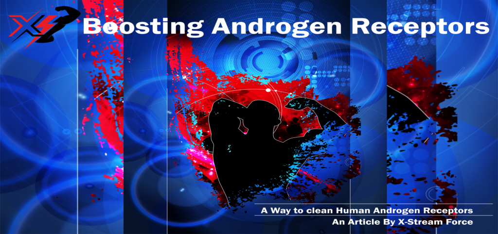 blog-clean-androgen-receptor-modulators-fitness supplements | XSF Store